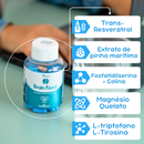 Suplemento Estimulante Cerebral Nootrópico para Foco, Concentração e Memória 60 Cápsulas
