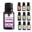 Kit Experiência Sensorial Colecionador com 10 Essências Premium