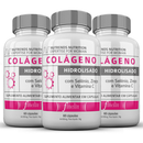 Kit 2 Colágeno Hidrolisado Premium Com Vitamina C, Zinco e Selênio – Combo 120