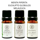 Kit 3 Oleos Essenciais Respiração Menta Piperita Eucalipto Melaleuca Vegano Puro Ashante Essentials