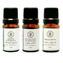 Kit 3 Oleos Essenciais Respiração Menta Piperita Eucalipto Melaleuca Vegano Puro Ashante Essentials